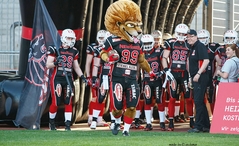 New Yorker Lions Maskottchen Tuck