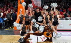 Brose Bamberger Basketball alchimia Produktion und Design Maskottchen Bär Freaky