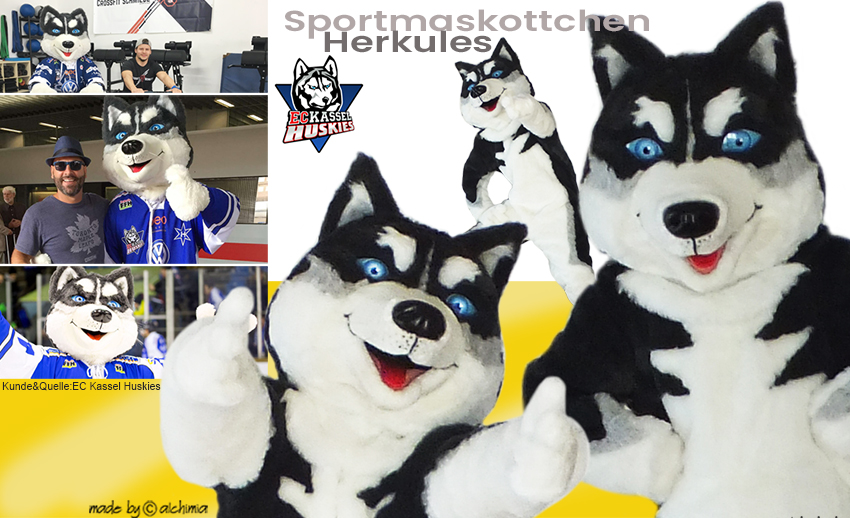 EC Kassel Huskies_sportmaskottchen Herkules alchimia Kostümherstellung