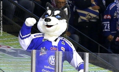 Kassel Huskies_Sportmaskottchen Herkules